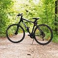 VTT