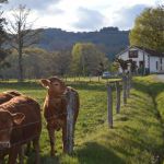 G&icirc;te de France en Creuse &agrave; St Martin Ch&acirc;teau - 23G1133