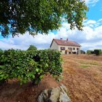 gite - La Maison de Marie - SAINT MEDARD LA ROCHETTE - Creuse