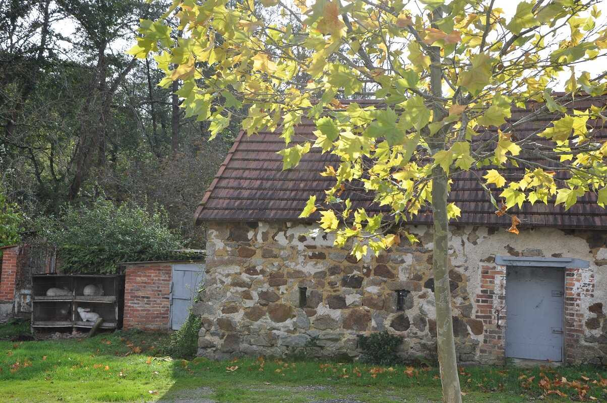 photo 35