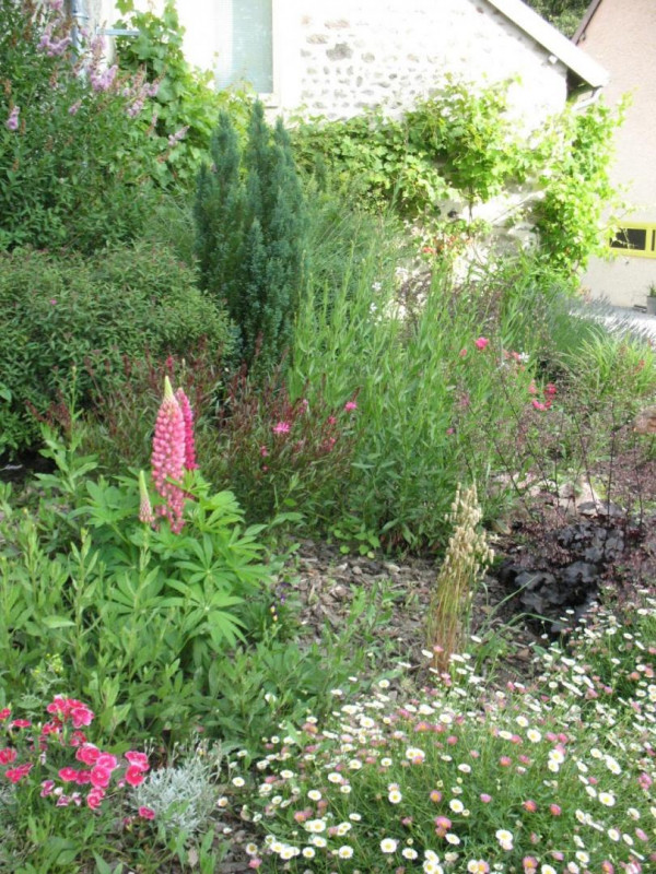 photo 51