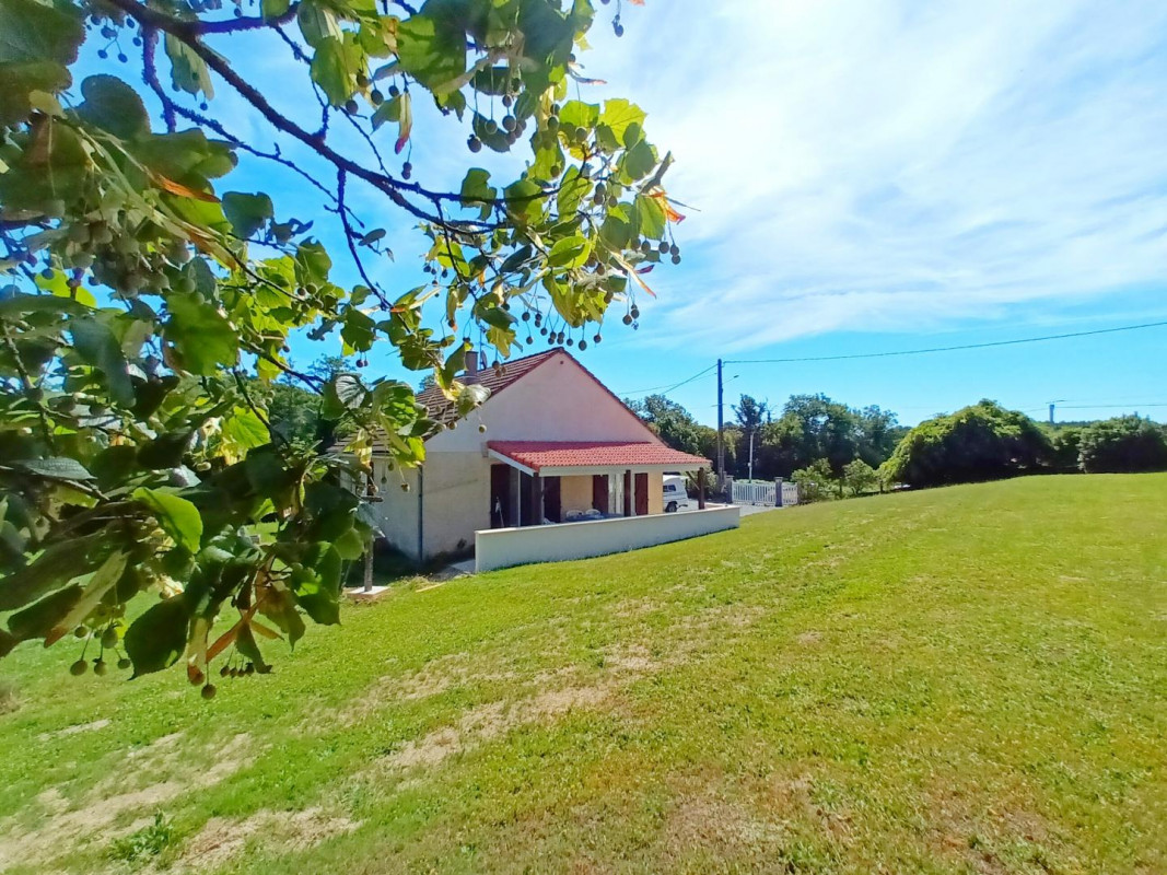 photo 0