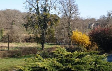 G&icirc;te n&deg;23G1534 Sainte-Feyre - Creuse - photoHiver