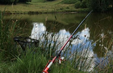 G&icirc;te n&deg;23G1267 Le Grand-Bourg - Creuse - P&ecirc;che en No Kill au G&icirc;te du H&eacute;risson 23G1267
(carpes,brochets,tanches,gardons)